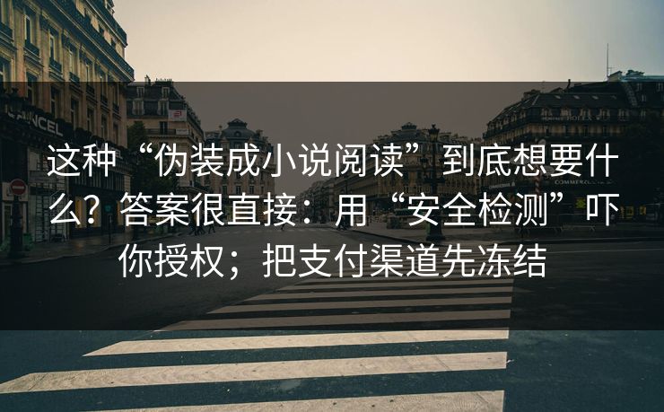这种“伪装成小说阅读”到底想要什么？答案很直接：用“安全检测”吓你授权；把支付渠道先冻结