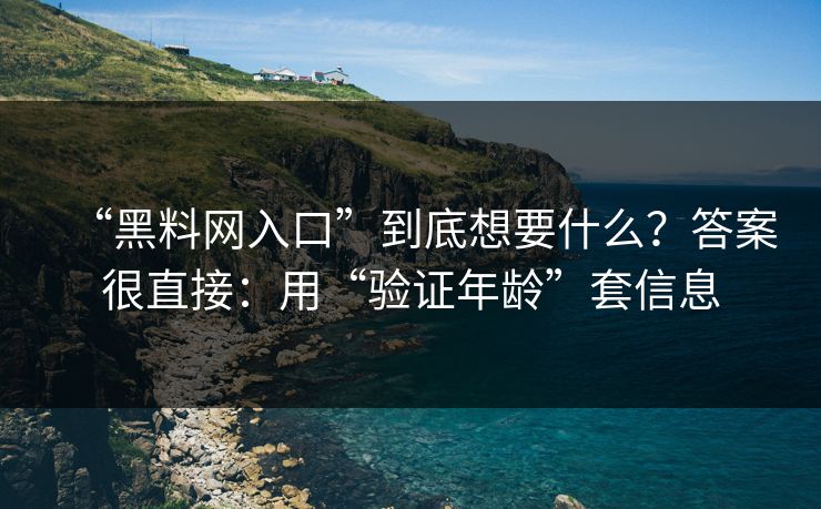 “黑料网入口”到底想要什么？答案很直接：用“验证年龄”套信息