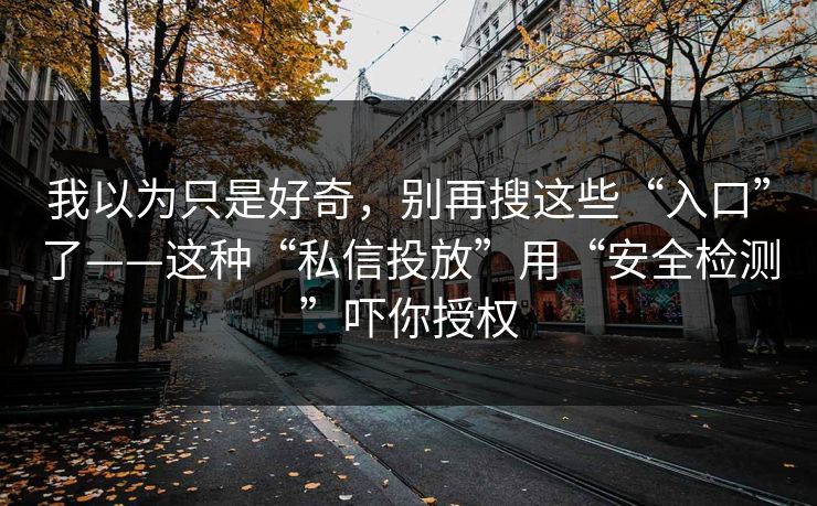 我以为只是好奇,别再搜这些“入口”了——这种“私信投放”用“安全检测”吓你授权