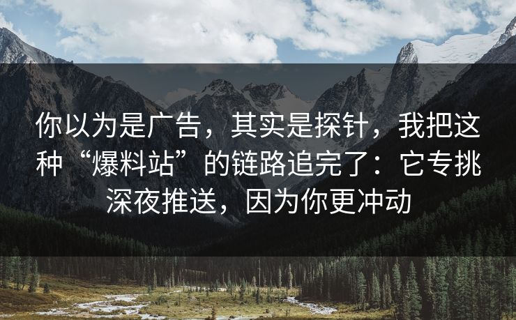 你以为是广告，其实是探针，我把这种“爆料站”的链路追完了：它专挑深夜推送，因为你更冲动