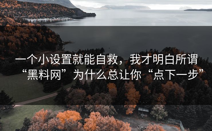 一个小设置就能自救，我才明白所谓“黑料网”为什么总让你“点下一步”