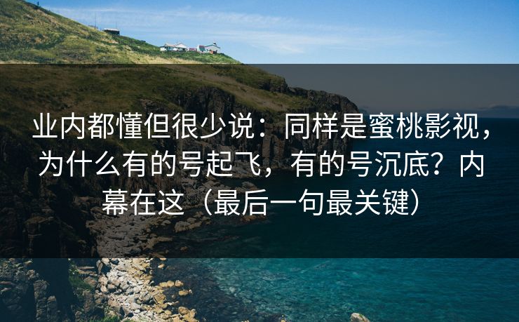 业内都懂但很少说：同样是蜜桃影视，为什么有的号起飞，有的号沉底？内幕在这（最后一句最关键）