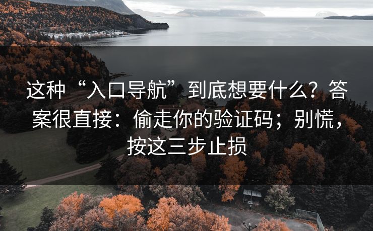 这种“入口导航”到底想要什么？答案很直接：偷走你的验证码；别慌，按这三步止损