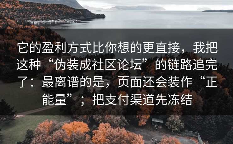 它的盈利方式比你想的更直接,我把这种“伪装成社区论坛”的链路追完了:最离谱的是,页面还会装作“正能量”;把支付渠道先冻结 它的盈利方式比你想的更直接,我把这种“伪装成社区论坛”的链路追完了:最离谱的是,页面还会装作“正能量”;把支付渠道先冻结