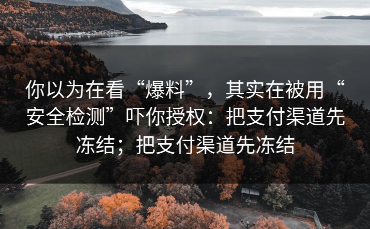 你以为在看“爆料”,其实在被用“安全检测”吓你授权:把支付渠道先冻结;把支付渠道先冻结 你以为在看“爆料”,其实在被用“安全检测”吓你授权:把支付渠道先冻结;把支付渠道先冻结