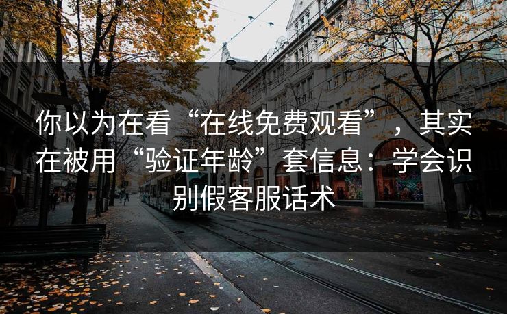 你以为在看“在线免费观看”，其实在被用“验证年龄”套信息：学会识别假客服话术