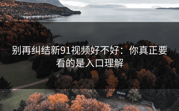 别再纠结新91视频好不好：你真正要看的是入口理解