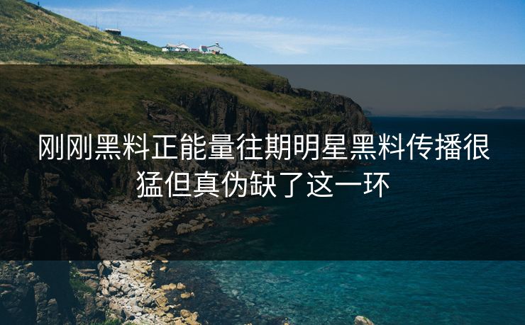 刚刚黑料正能量往期明星黑料传播很猛但真伪缺了这一环